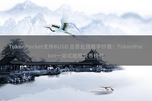 TokenPocket支持BUSD 应答处理数字钞票：TokenPocket一站式加密货币钱包