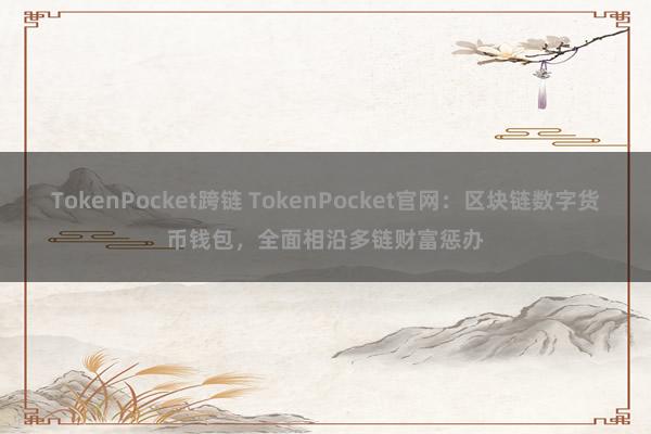 TokenPocket跨链 TokenPocket官网：区块链数字货币钱包，全面相沿多链财富惩办